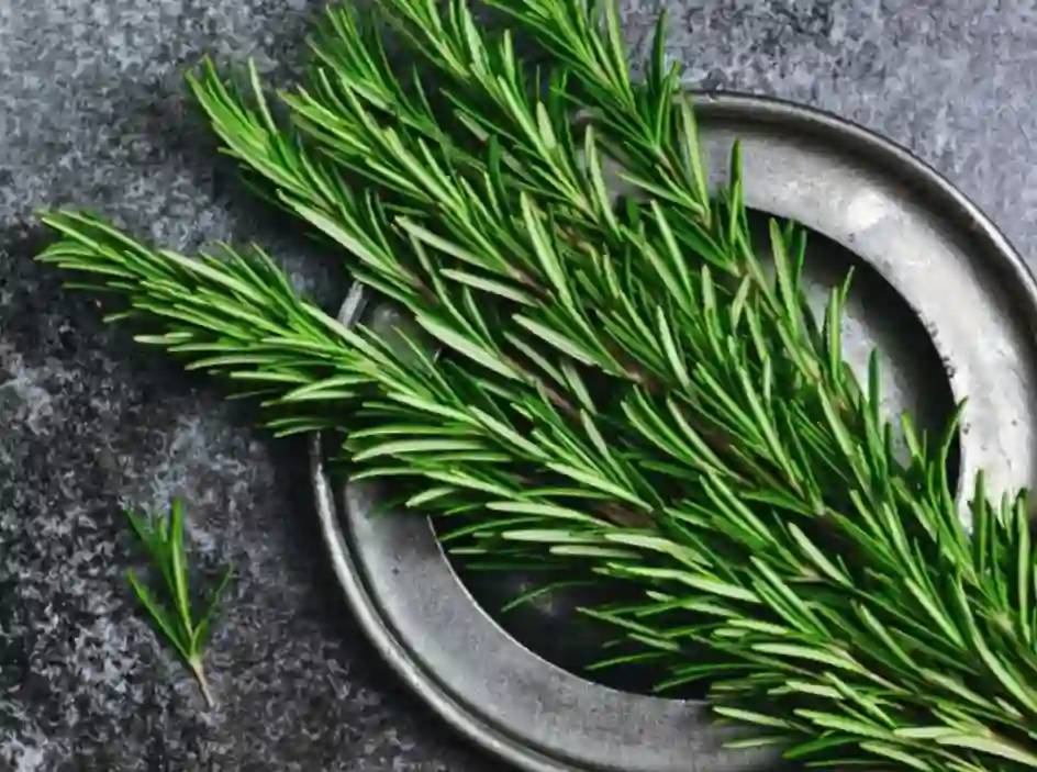 Gaziantep'te, Evinize Bereket ve Huzur Katacak 8 Şifalı Bitki! 5